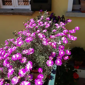 Appartement Casa Azzurra